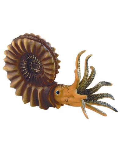 Ammonite, model